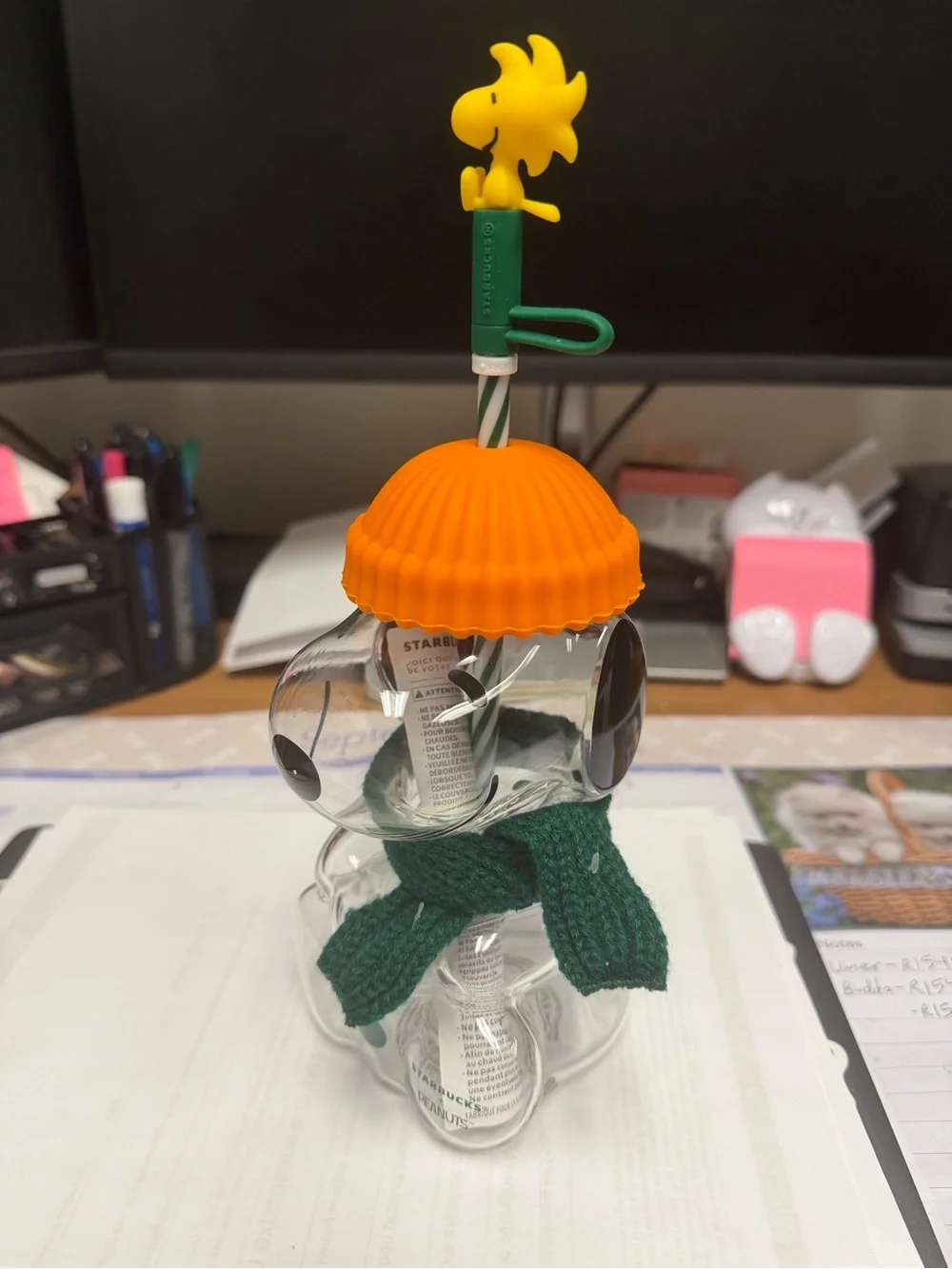 Starbucks Peanuts Snoopy Tumbler with scarf and Woody topper